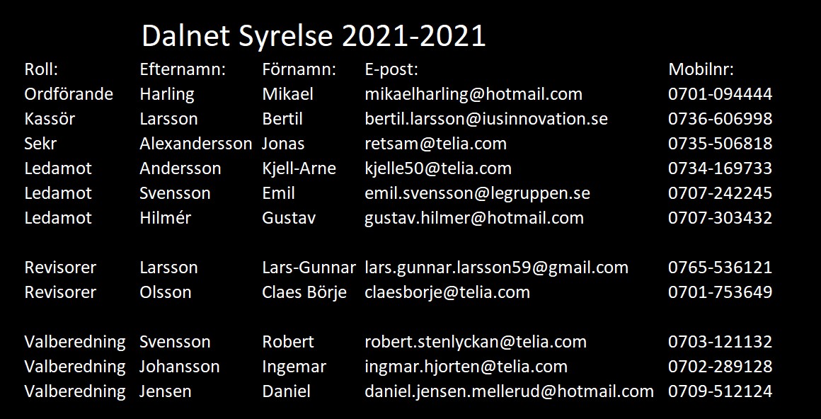 Dalnet Styrelse